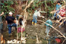 Parent volunteers