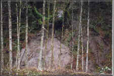 Site of landslide