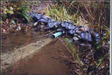 Lynnmour Creek circa 1999