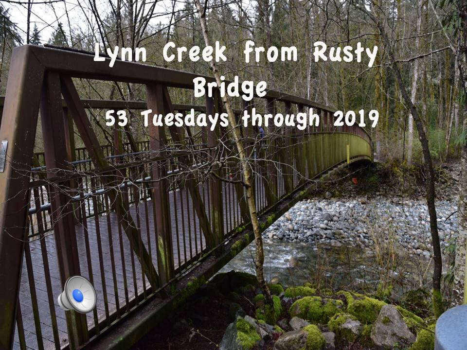 Rusty Bridge 2019