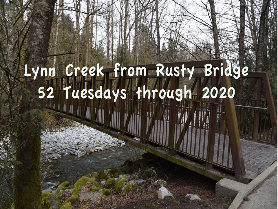 Rusty Bridge 2020