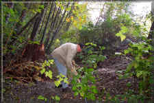 Mike working on the berm