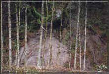Site of the landslide