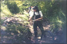 Lynnmour Creek circa 1995